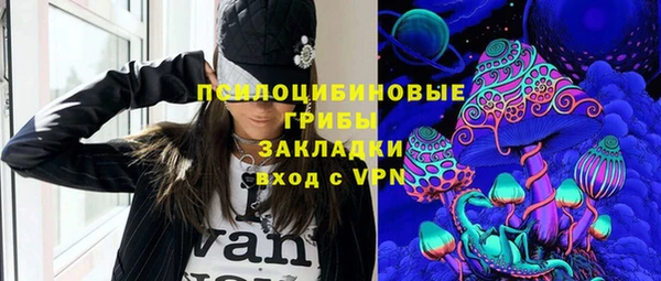 гидра Алексеевка
